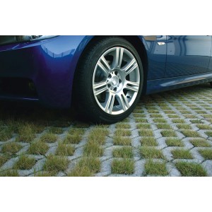 Grauer Rasengitterstein aus Beton unter einem Auto, teilweise mit Gras bewachsen.