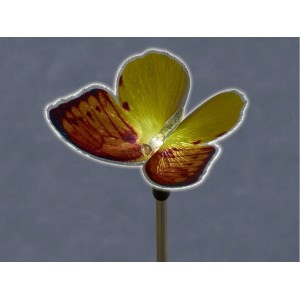 Gelber LED-Solarspieß Sagli in Schmetterlingsform für stimmungsvolle Gartenbeleuchtung.