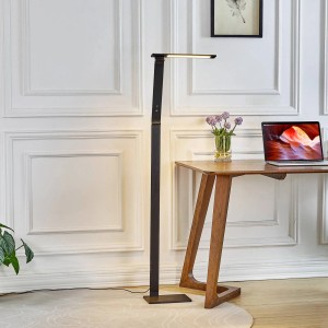 Moderne, dimmbare LED Stehlampe Salome in Schwarz, ideal als Arbeitszimmerleuchte.