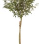 GROW by OBI Fächerahorn Seiryu, ca. 60cm hoch im 6l Topf. Zarter Ahorn mit feinen Blättern.