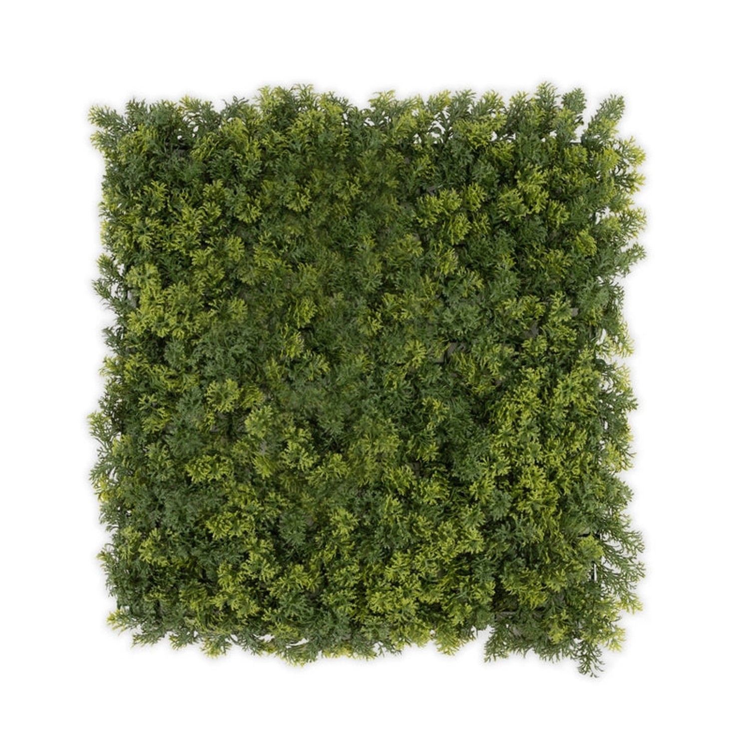 KARAT Pflanzenwand Houttuynia-cordata Kunstpflanze zur Dekoration 50 x 50 c günstig online kaufen