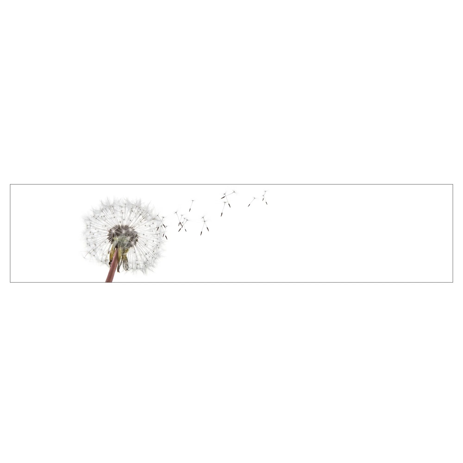 MySpotti Küchenrückwand Profix Cucina Dandelion 270 x 60 cm Weiß-Grau