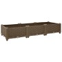 Braunes furnicato Hochbeet (120x40x23 cm) aus Polypropylen für Garten, Balkon oder Terrasse.