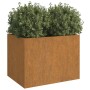 Rechteckiger Pflanzkübel aus rostigem Cortenstahl, 62x47x46 cm, mit grünen Pflanzen für Garten & Balkon.