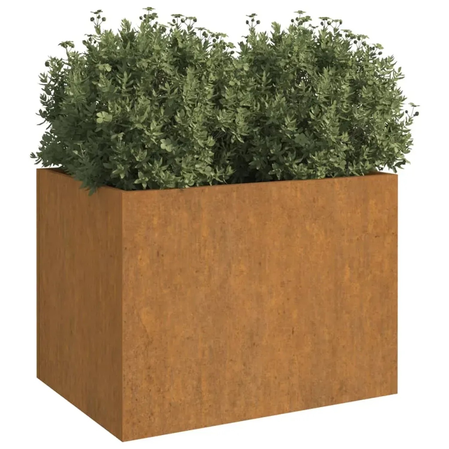 Rechteckiger Pflanzkübel aus rostigem Cortenstahl, 62x47x46 cm, mit grünen Pflanzen für Garten & Balkon.