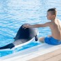 Junge streichelt blauen Westmann Pool Buddy Wal am Poolrand. Badespaß & Spielzeug.