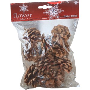9 Natur Tannenzapfen im Beutel, Weihnachtsdeko für Kränze und Gestecke.
