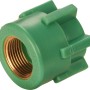 Grüne PPR-Übergangsmuffe DN 25 x 24,1 mm (Rp 3/4) für Sanitärinstallationen.
