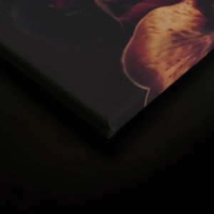 Leinwandbild mit Rose, Orchidee und Hortensie in Orange und Schwarz für die Wanddekoration.