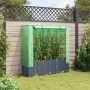 Dunkelgraues vidaXL Hochbeet mit Gewächshaus-Aufsatz im Garten. Rattan-Optik, 120x40x138 cm.