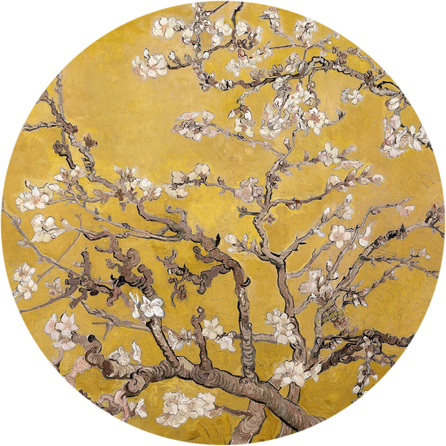 Erfurt Fototapete Vlies Almond Blossom Van Gogh Ochre Ø 188 cm