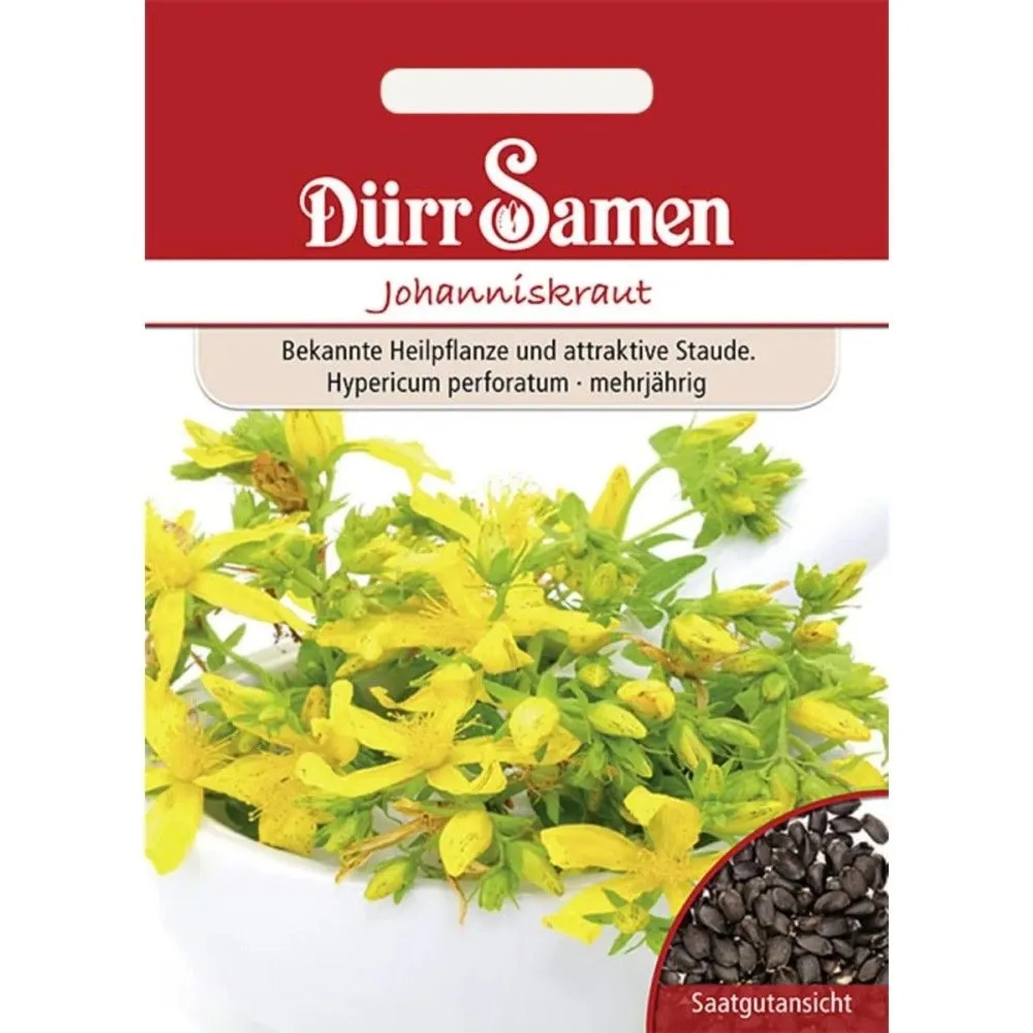 Dürr Samen Johanniskraut Saatgut