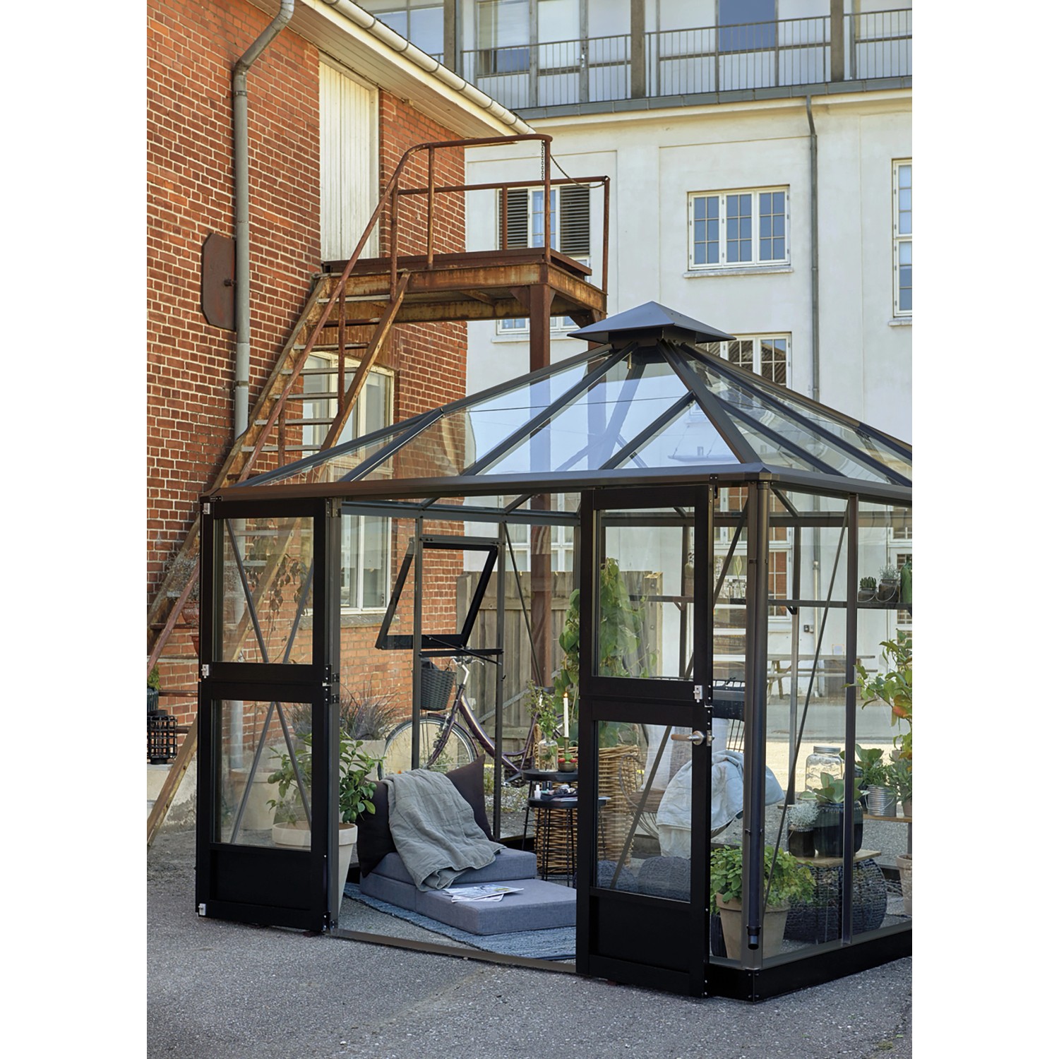 Juliana Gewächshaus Oase 8 Anthrazit mit Glas, begehbar, mit geöffneten Türen und Pflanzen.