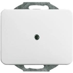 Busch-Jaeger Blindabdeckung 1742-24, studioweiß, mit Tragring und Schraube.