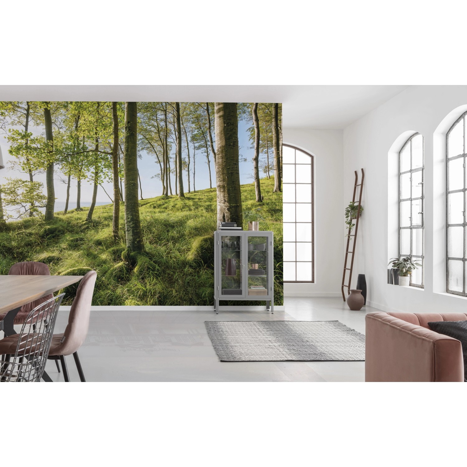 Vlies Fototapete mit Waldmotiv „Zauberhaftes Buchenspektakel“ im Wohnraum.