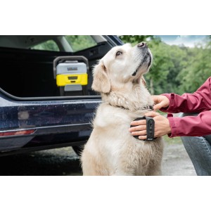 Kärcher Fellreinigungsbürste im Einsatz: Frau bürstet hellen Hund vor Auto. Waschbürste für Tierfell.