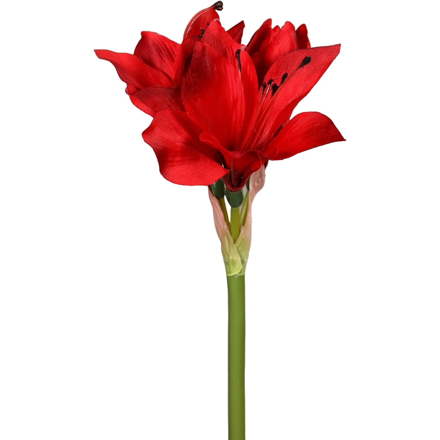 Kunstzweig Amaryllis aus Kunststoff 51 cm Rot