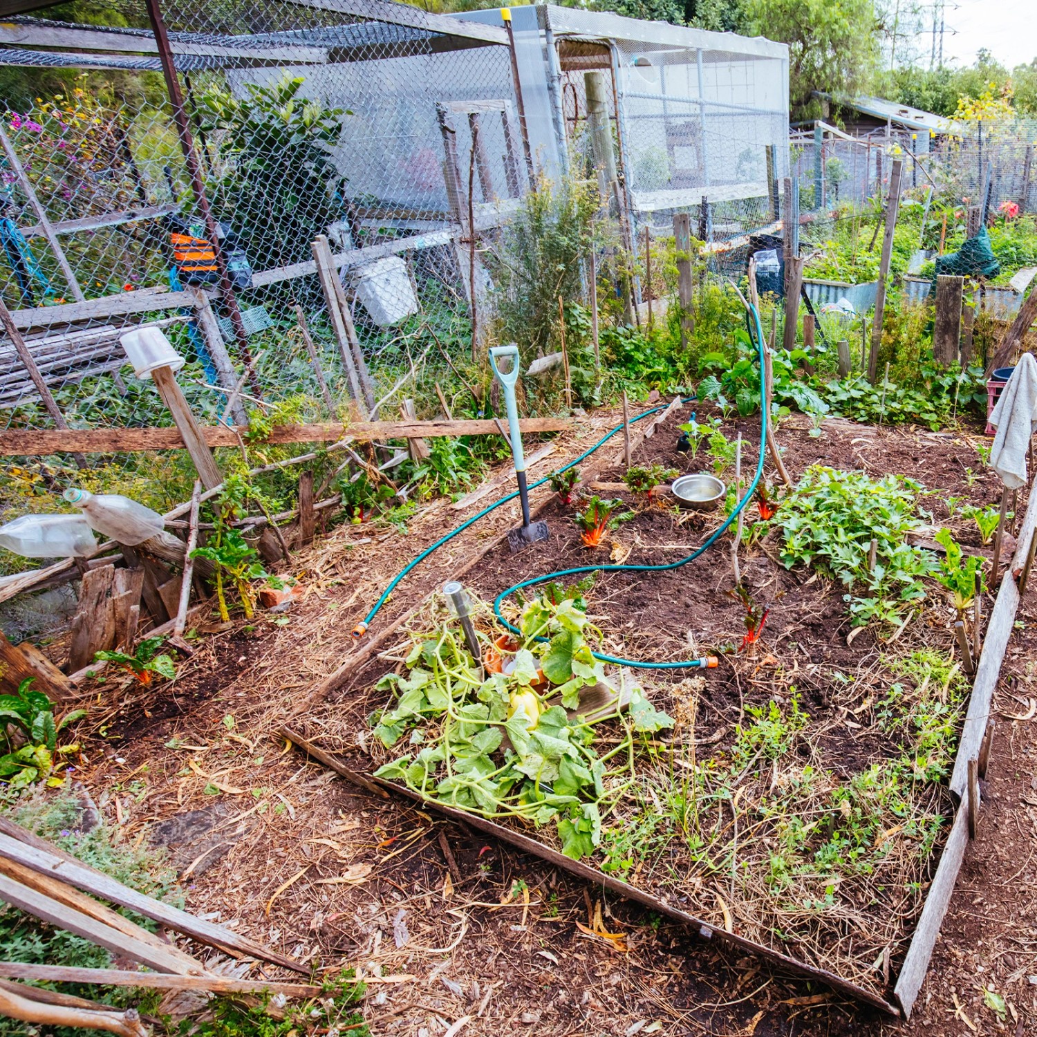 CCLIFE Hühnerzaun Geflügelnetz 45mm Maschenweite 100cm Höhe 25m Länge PVC-Beschichtet Grün_7