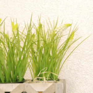 Floxxan Baumwollputz Colorado 102, Creme. Dekorative Tapete mit Baumwolle.