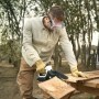 Mann sägt Holz mit der Litheli Akku-Säge. Die Akku-Kettensäge ist ideal für Gartenarbeiten.