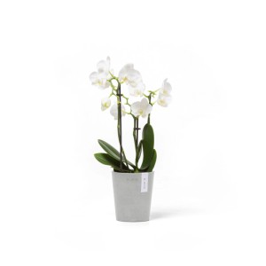Ecopots Pflanztopf Morinda, weißgrau, 11x12,4cm, mit weißer Orchidee. Ideal für Innen- und Außenbereich.