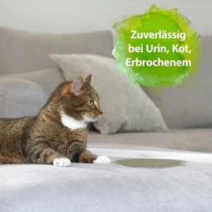 Katze liegt neben Urinfleck auf Sofa. Bactador Geruchs- und Fleckenentferner für zuverlässige Reinigung.
