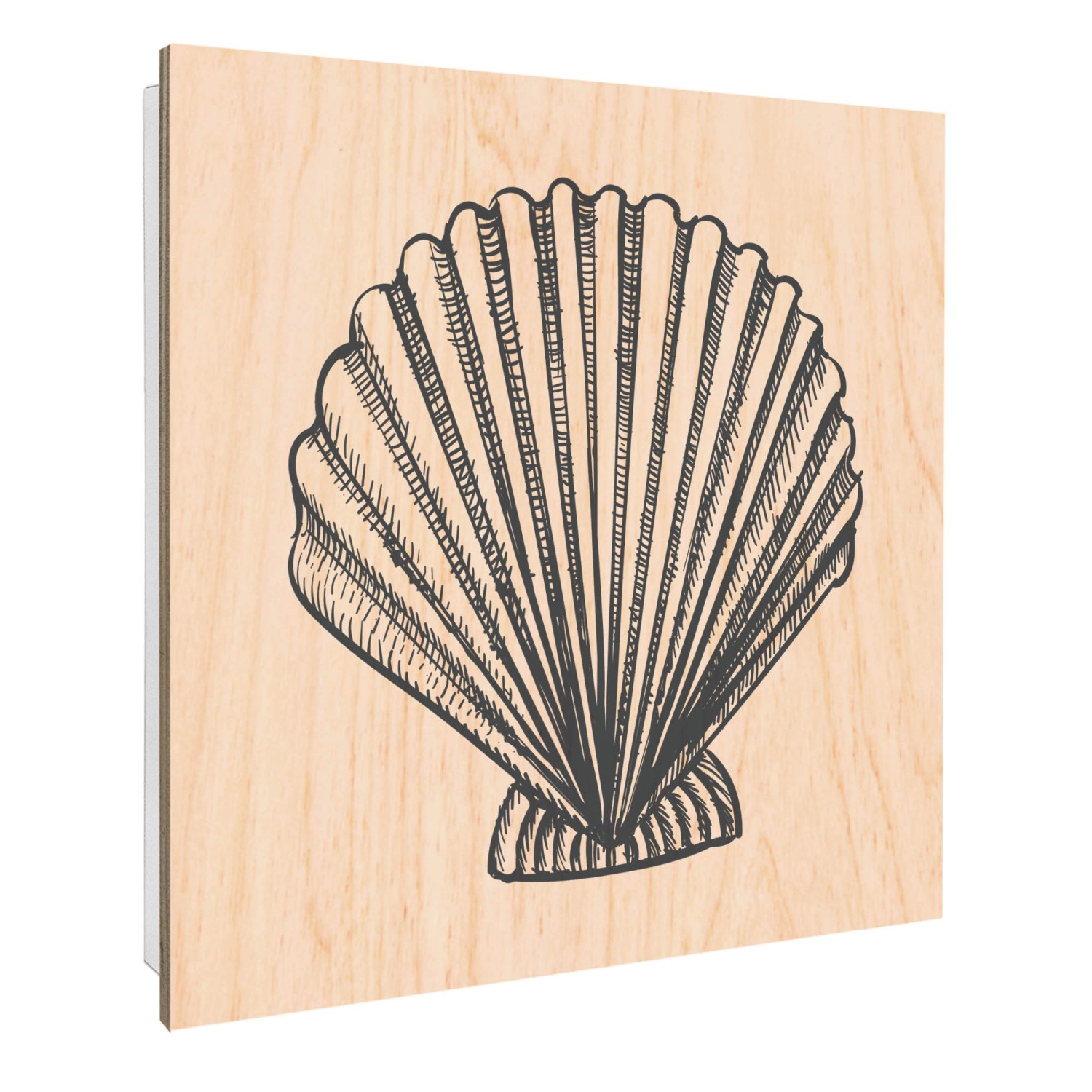 Banjado Schlüsselkasten mit Holzfront 30x30cm Weiß Scharnier Links 50 Haken günstig online kaufen