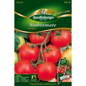 Samenpackung Quedlinburger Stab-Tomate Harzglut mit roten Tomaten am Strauch.