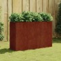 Rechteckiges Furnicato Hochbeet aus Cortenstahl (120x40x80 cm) mit Bepflanzung im Garten.