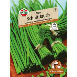Sperli Schnittlauch Staro, grobröhrig und mehrjährig. Kräutersamen für aromatische Gerichte.