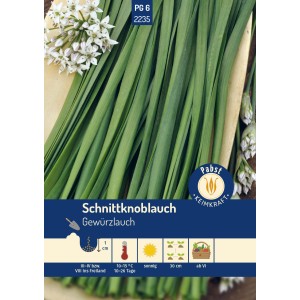 Pabst Keimkraft Schnittknoblauch Saatgut mit grünen Blättern und weißen Blüten.