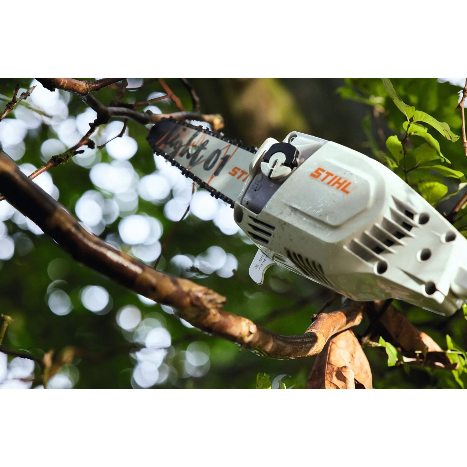 Stihl Akku-Hochentaster HTA 86 in Grau-Orange schneidet einen Ast. Kettensäge für Baumpflege im Einsatz.