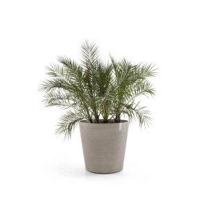 Ecopots Amsterdam Pflanztopf Taupe, Ø 80 cm, mit Rollen und grüner Pflanze.