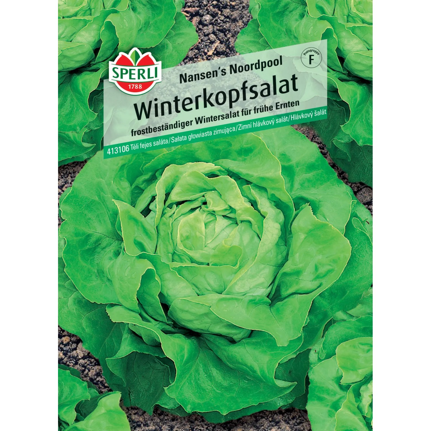 Sperli Winterkopfsalat "Nansen's Noordpool"