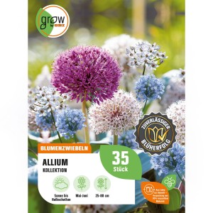 GROW by OBI Allium-Kollektion, 35 Blumenzwiebeln in verschiedenen Farben und Formen.