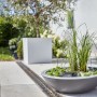 Heissner Solar-Wassergarten Lotusgarden mit Pflanzen und Lichtkugel als Teichdeko.