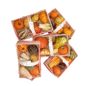 Kürbisse im Spankorb, herbstliche Deko für Terrasse und Balkon, Korbgröße 32x18cm.