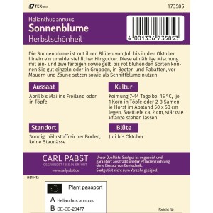 Pabst Keimkraft Sonnenblume Herbstschönheit Saatgut für ca. 20 Pflanzen.