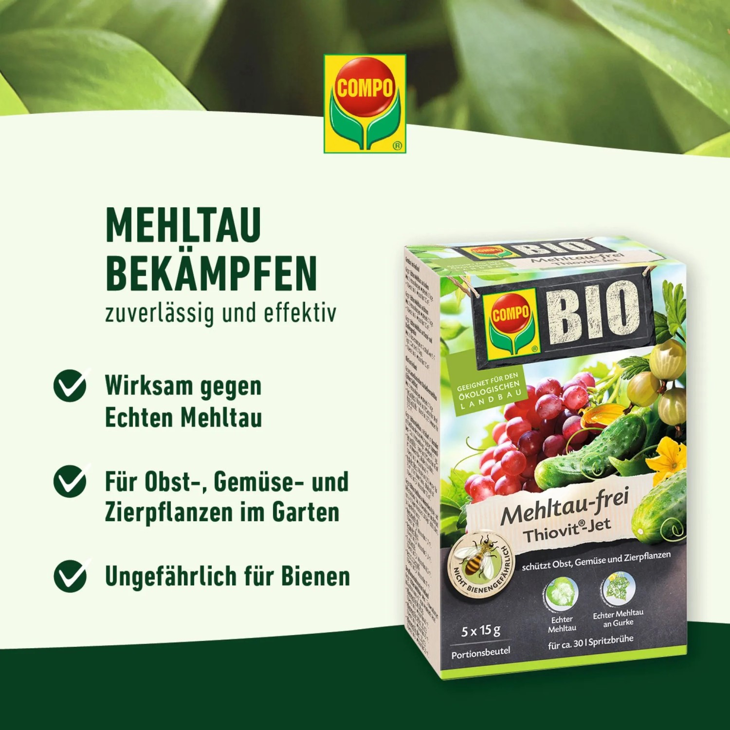 eukalyptus kranz knstlich Eukalyptus Kranz  Florales und Keramik