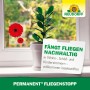 Neudorff Fliegenfalle Permanent Fliegenstopp mit Blumenmotiv am Fenster, neben einer Zimmerpflanze.
