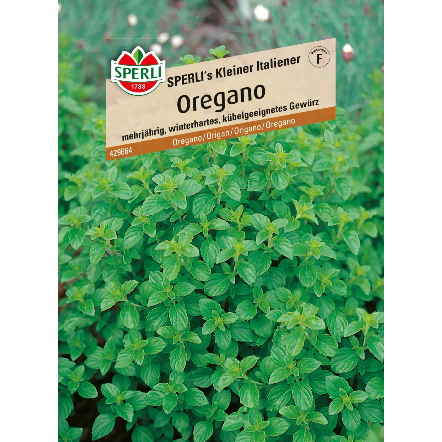 Sperli Oregano "Sperlis Kleiner Italiener"