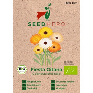 Seedhero BIO Ringelblume Fiesta Gitana Samen für ca. 80 Pflanzen.