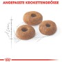 Drei Kroketten Royal Canin Fit Trockenfutter für aktive Katzen, angepasst in der Größe.