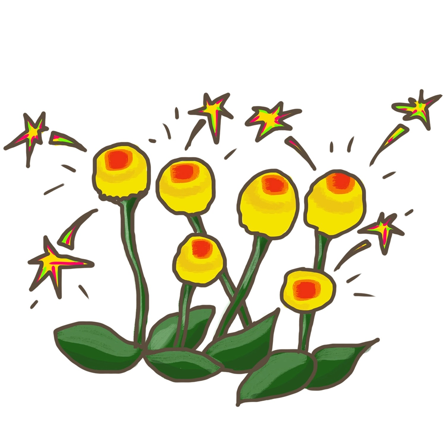 Illustration von Prickelknöpfen (Spilanthes) mit gelben Blüten und grünen Blättern.