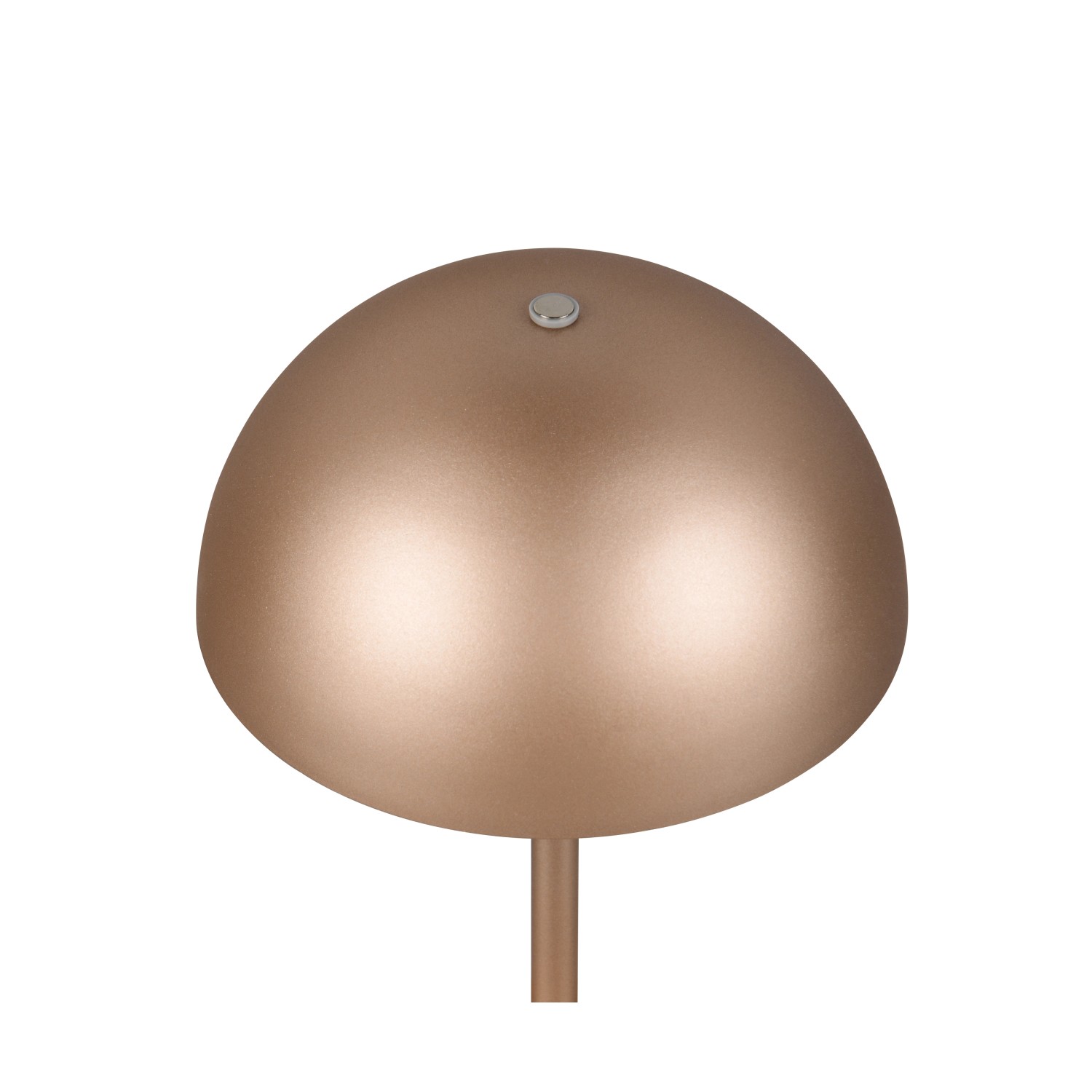 Reality LED-Tischleuchte Munoz in Coffee: Pilzförmige Akku-Tischlampe, dimmbar.