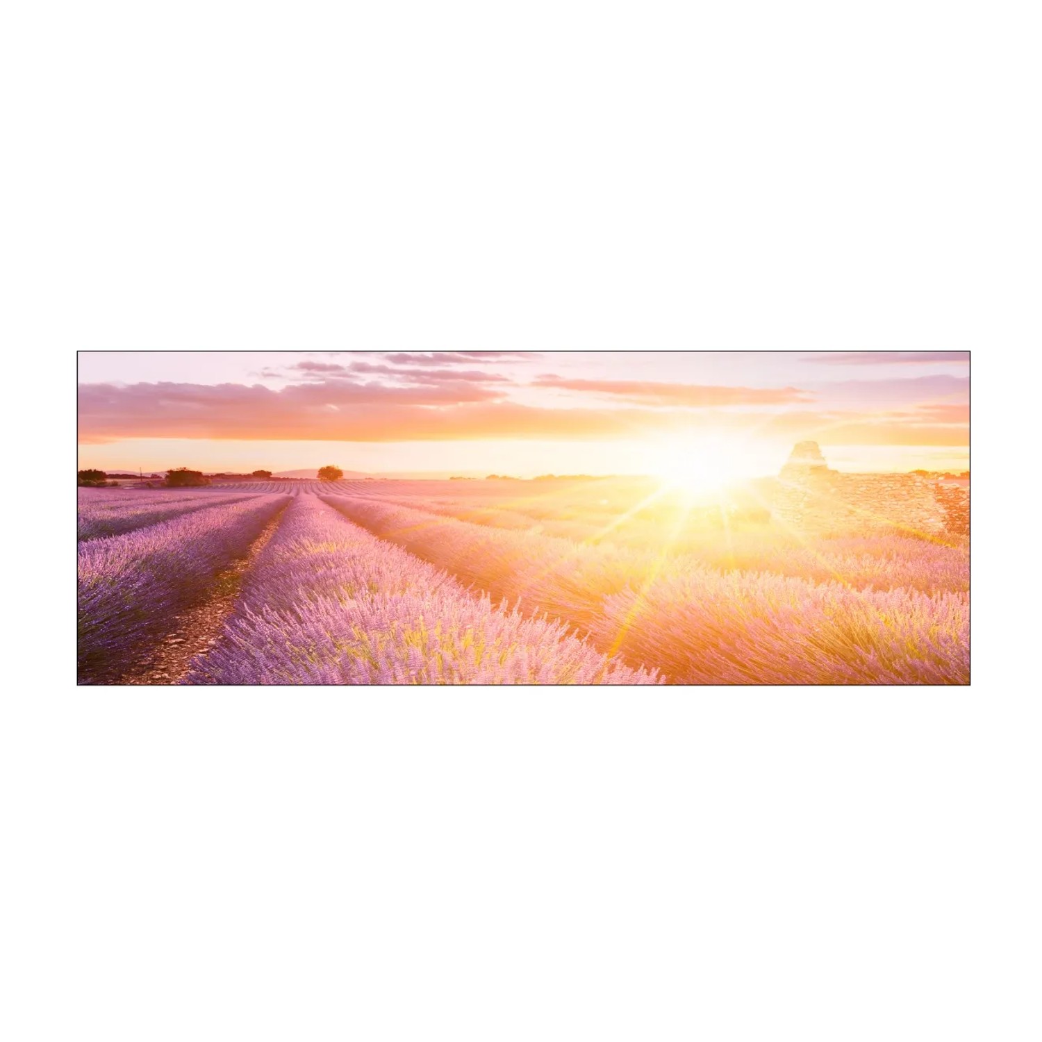 MySpotti Küchenrückwand Profix Cucina Provence 160 x 60 cm Lavendelviolett