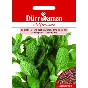 Dürr Samen Pfefferminze Saatgut Packung mit frischen Minze Blättern und Saatgutanblick.