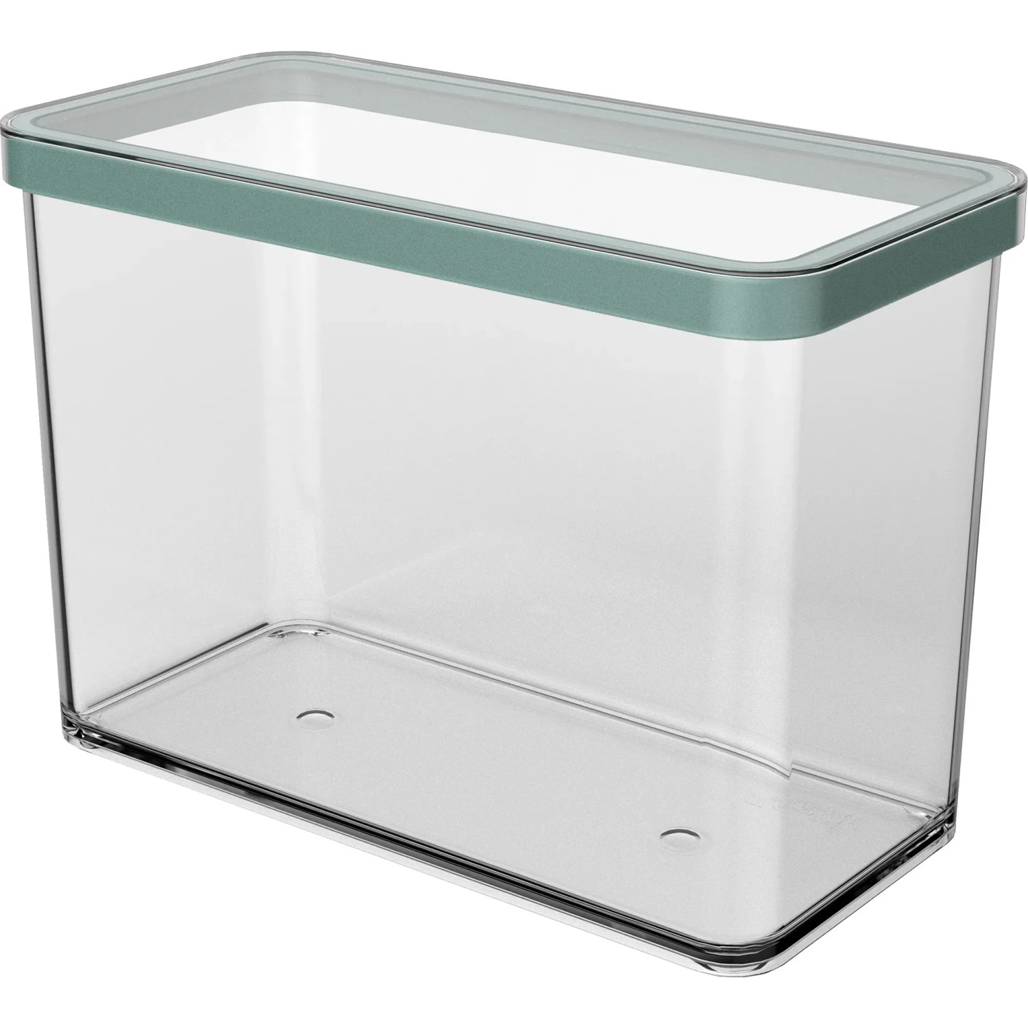 Rotho Dose Loft Premium Rechteckig 2,1, Transparent Mistletoe Green