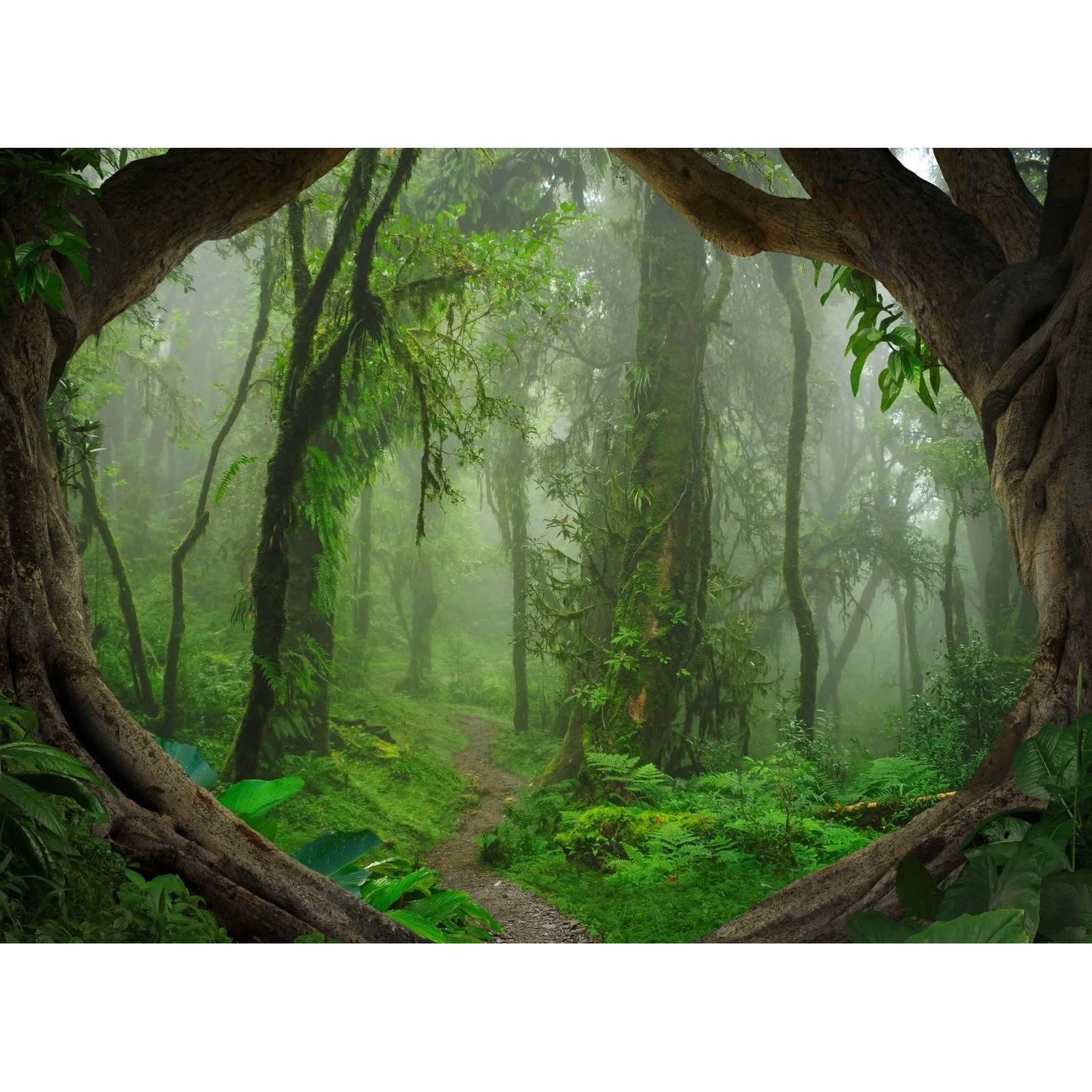 living walls Fototapete Designwalls Tropical Forest, glatt, (5 St)
