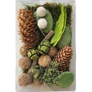 Bastelmix mit getrockneten Blättern, Blüten, Zapfen und Früchten in Grün- und Naturtönen.